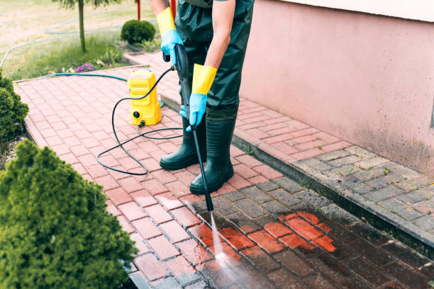  Oli, PA Pressure Washing Pros